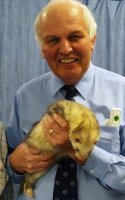 Professor John Cooper holding a ferret