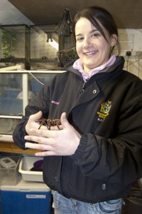 work experience student handling spider